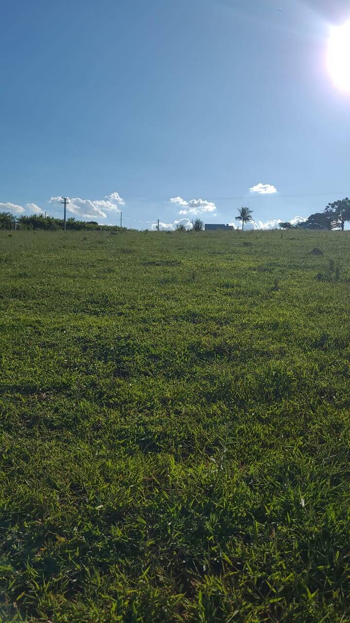 Terreno à venda, 20000m² - Foto 1