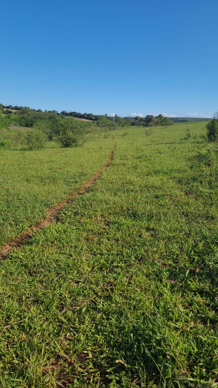 Terreno à venda, 20000m² - Foto 2