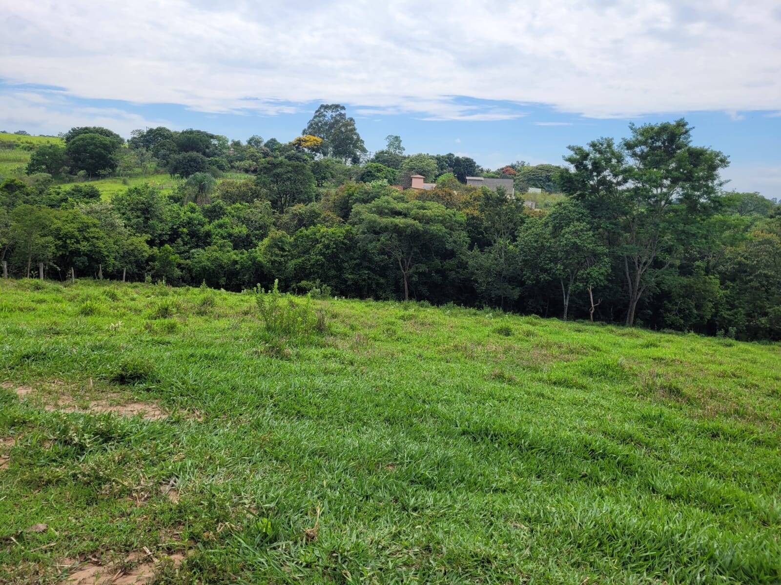 Terreno à venda, 20000m² - Foto 3