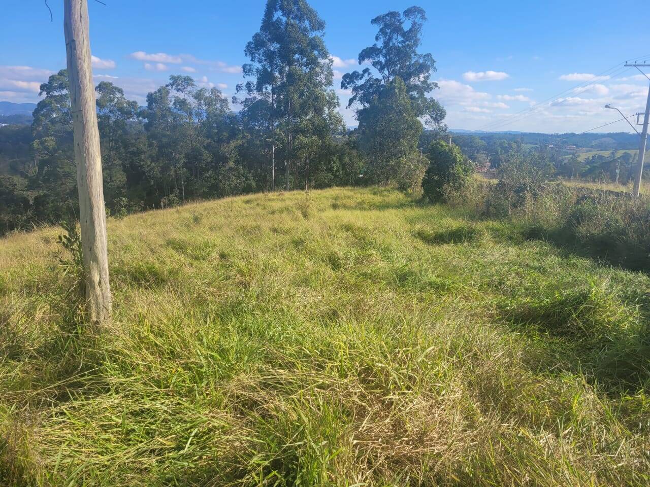 Terreno à venda, 20000m² - Foto 5