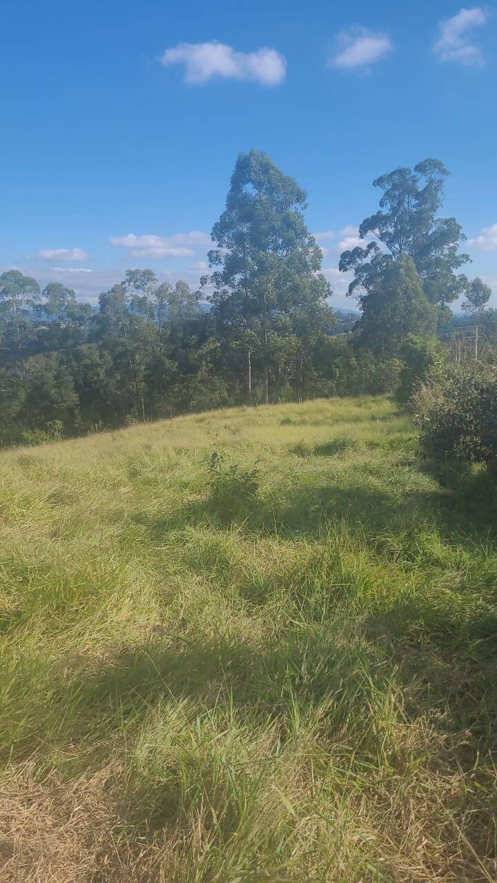 Terreno à venda, 20000m² - Foto 7