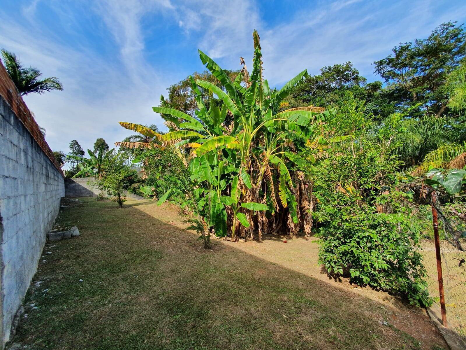 Casa de Condomínio à venda com 4 quartos, 800m² - Foto 41