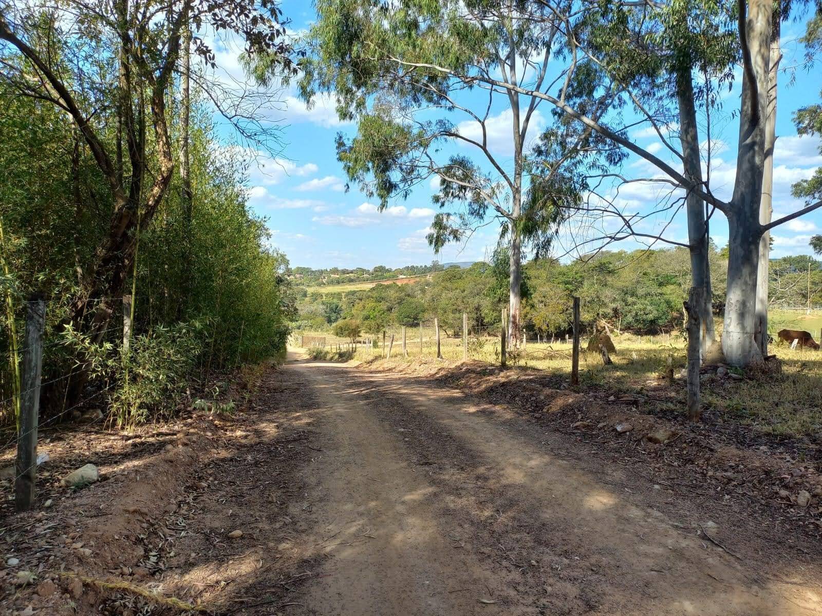 Terreno à venda, 24200m² - Foto 8