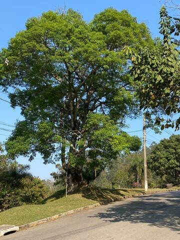 Terreno à venda, 600m² - Foto 4