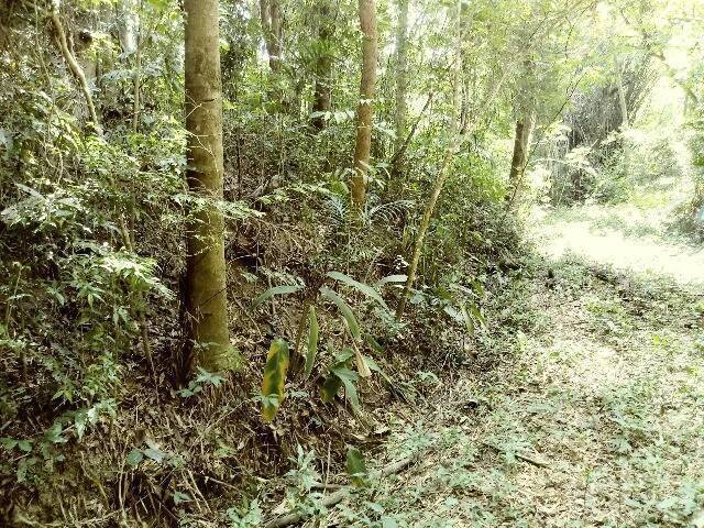 Terreno para Venda em Jundiaí - 4